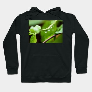 Shiny dew drop with image of a leaf Hoodie